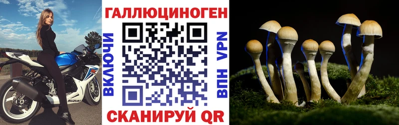 мега сайт  Калтан  Псилоцибиновые грибы Psilocybine cubensis 